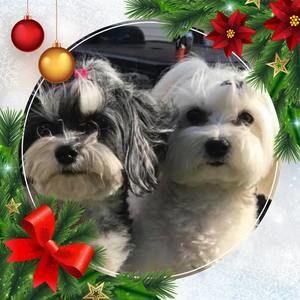 Meet your Posher, Anabel